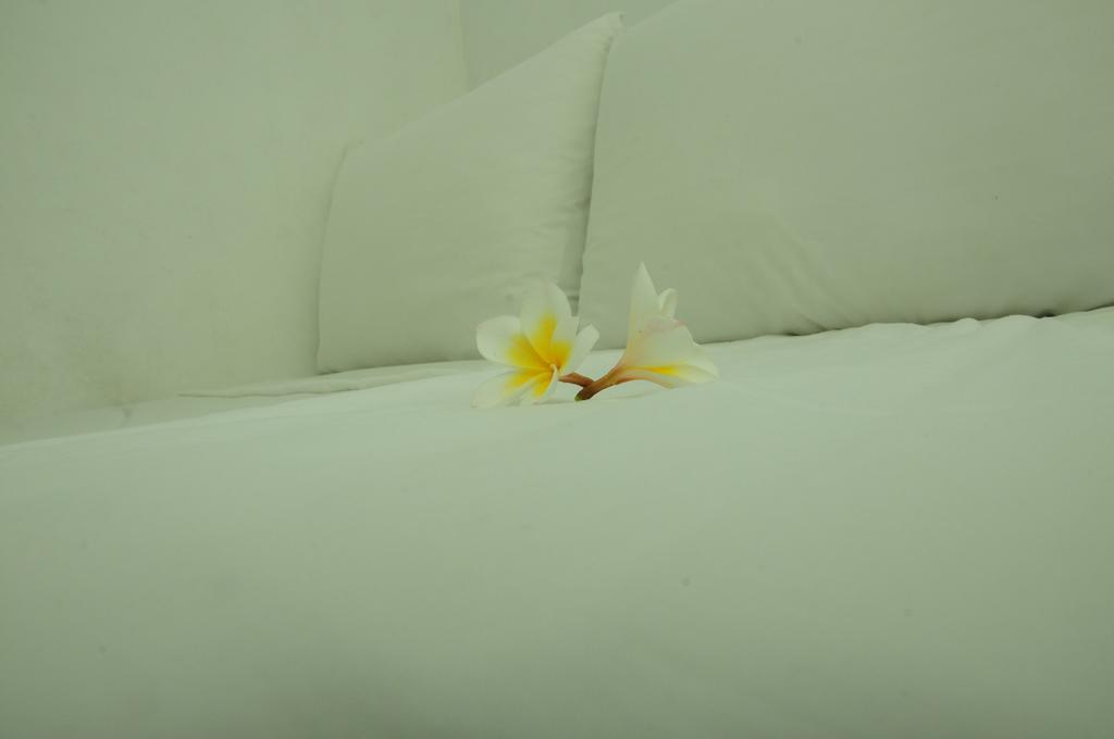Villa Breeze Talpe أونا واتونا المظهر الخارجي الصورة